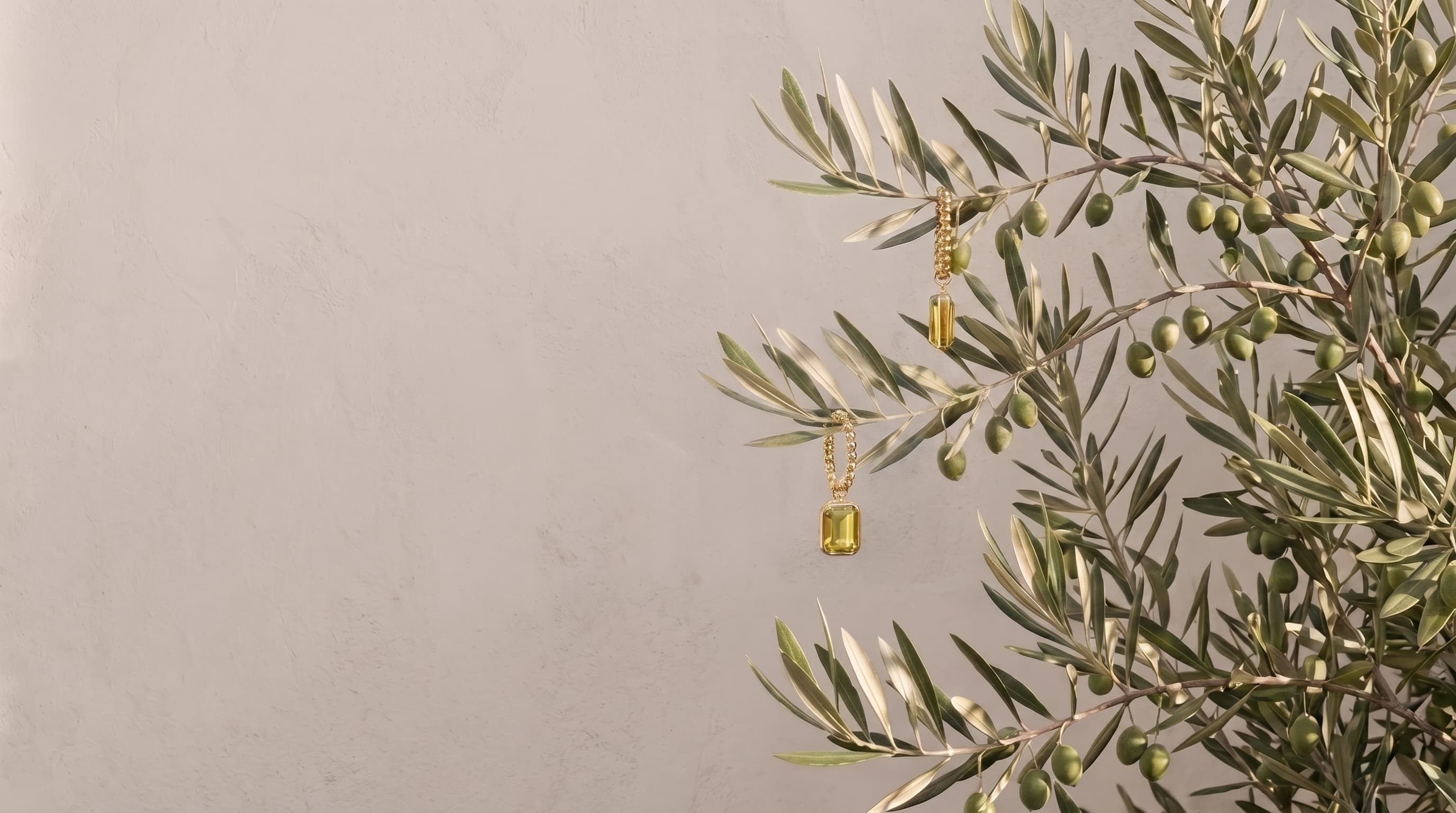 Olei Earrings hanging from an olive branch